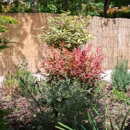 Appartamento Friendly Backyard *